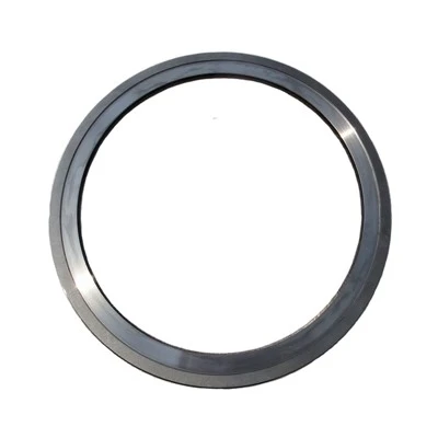 Flexible Brush Seal